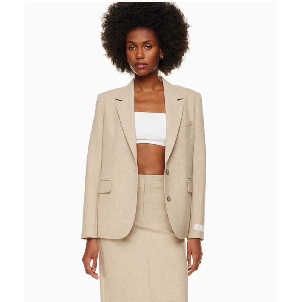 Babaton Aritzia New Agency Blazer